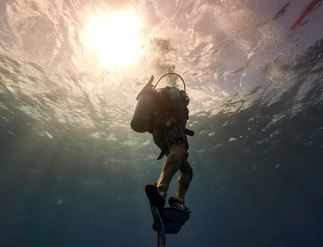 A dive buddy ascending to the surface