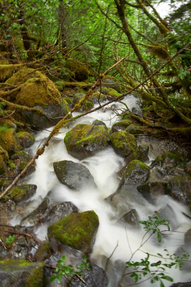 A long exposure of a stream in Tongass National Forest